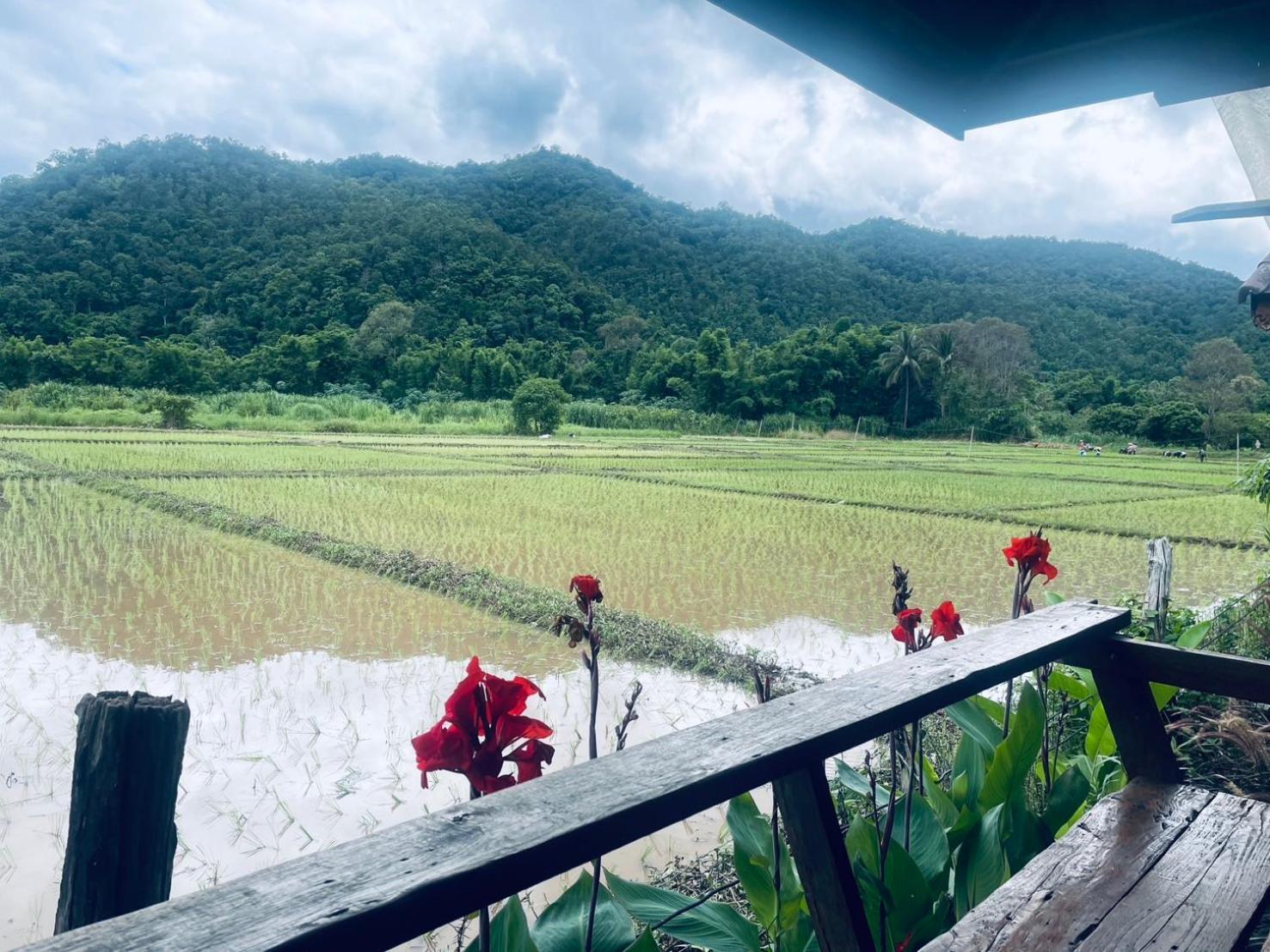 บ้านสวนวิวทุ่ง Ban Mae Sap Nua Exterior photo