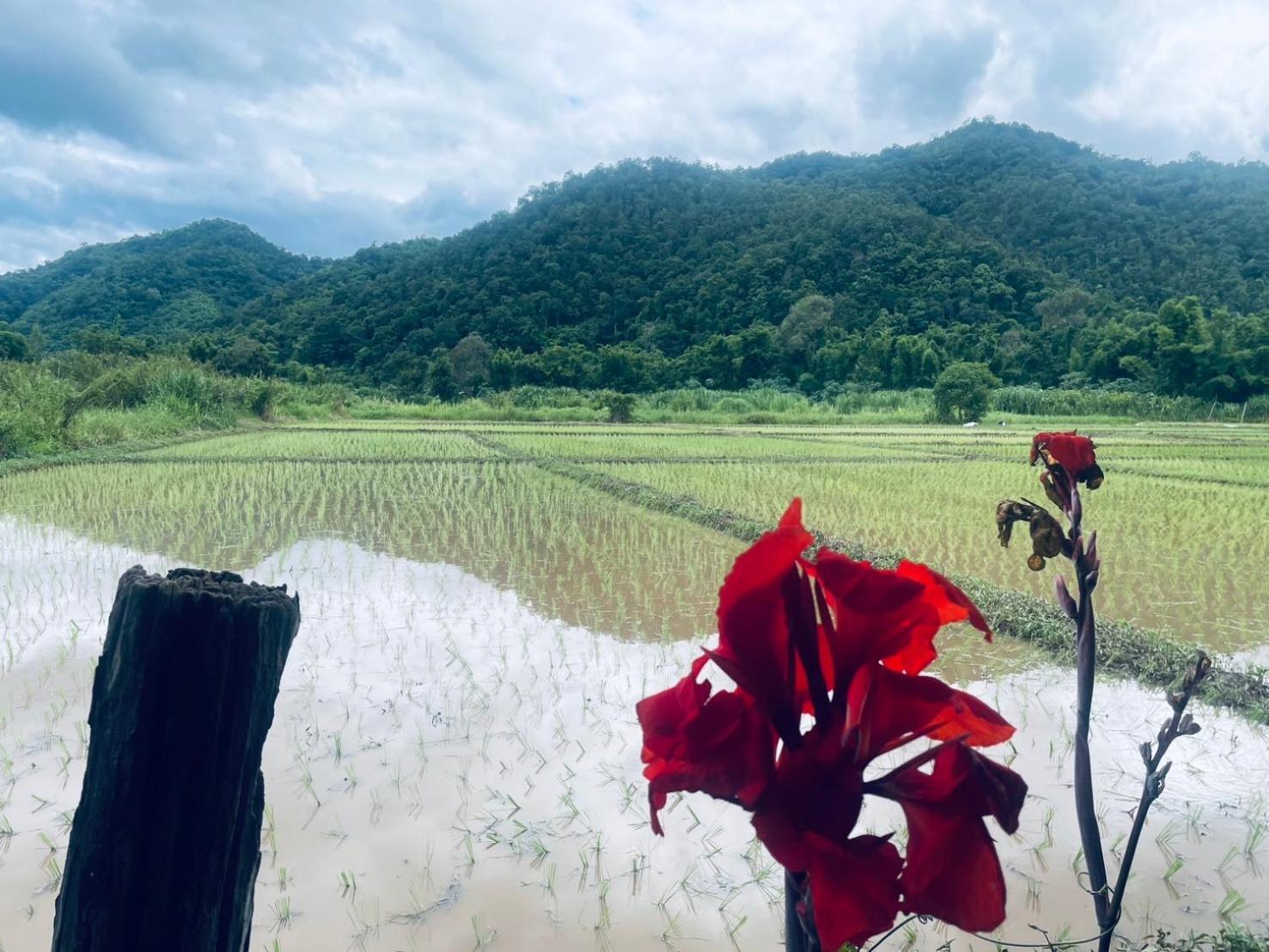 บ้านสวนวิวทุ่ง Ban Mae Sap Nua Exterior photo